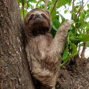 Meet your Posher, Isabella